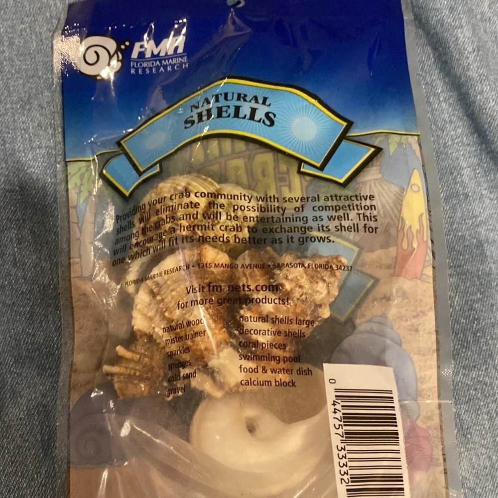 New NWT Natural hermit crab shells small and medium